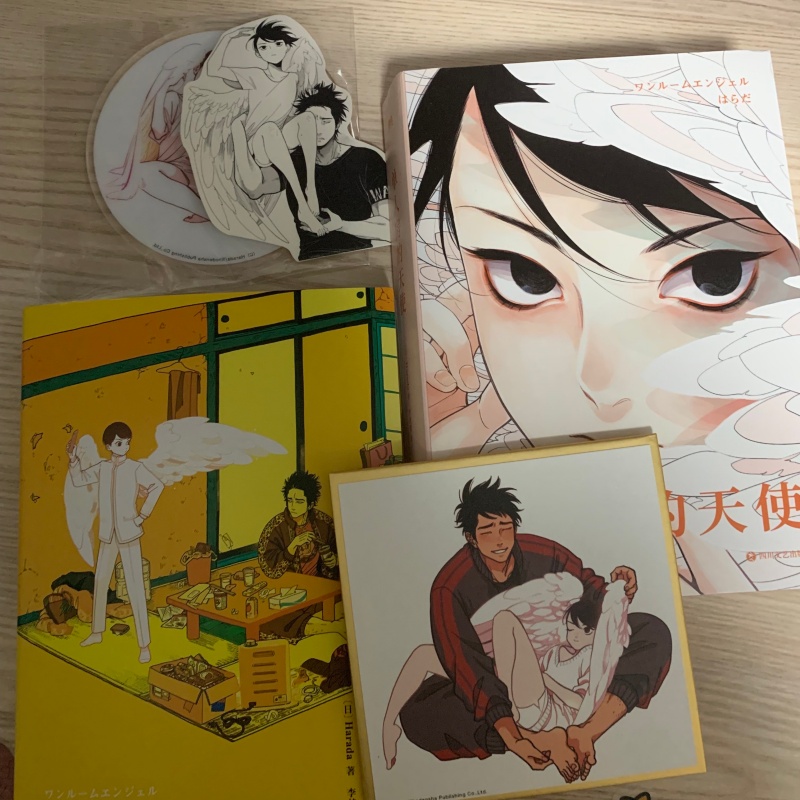 Japon Tek Kişilik Oda Melek Or - Japanese Lifestyle Books incelemesi ve fiyatı